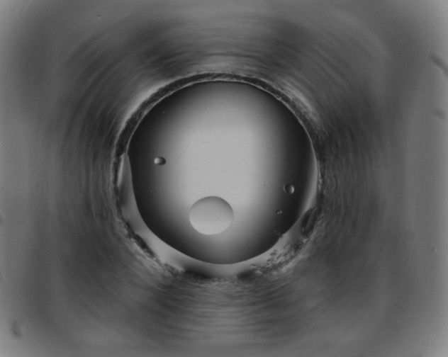 X0000097650880200803071507