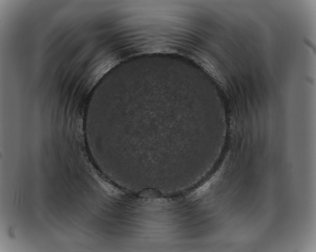 X0000097650881200803071507