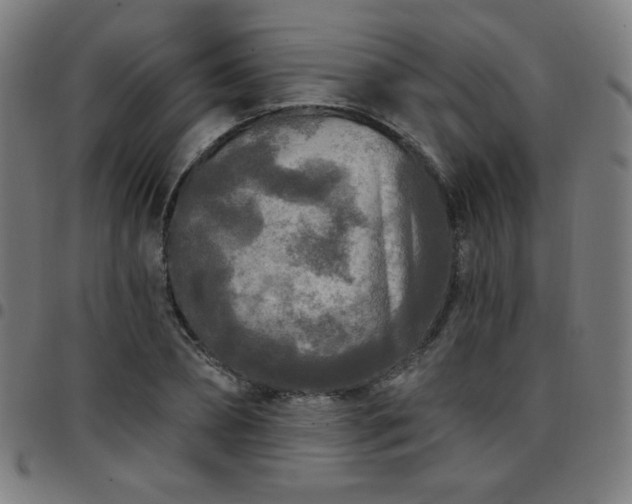 X0000097650882200803071507