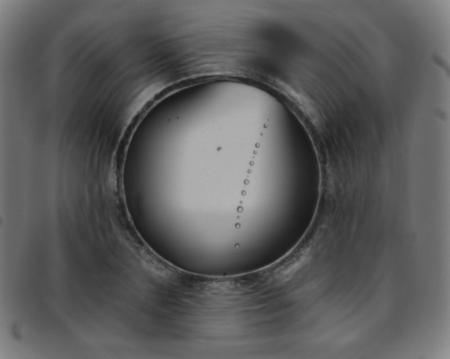 X0000097650883200803071507