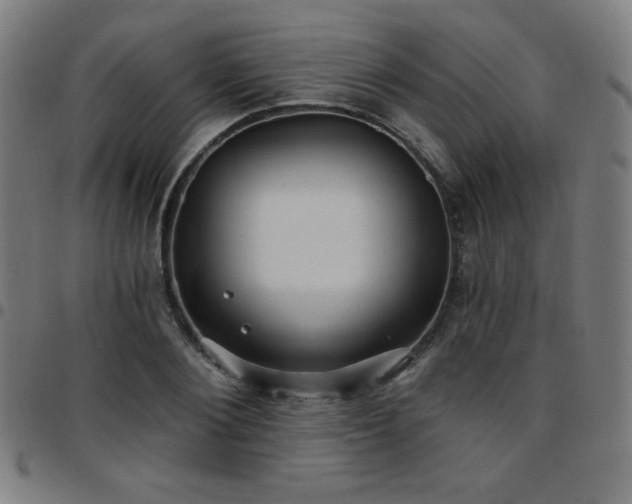 X0000097650884200803071507