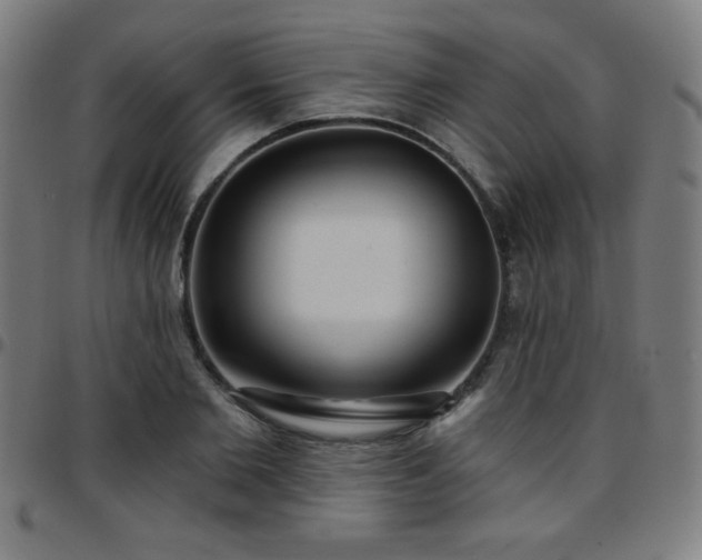 X0000097650885200803071507