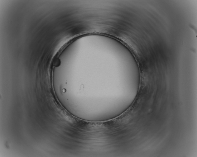 X0000097650886200803071506