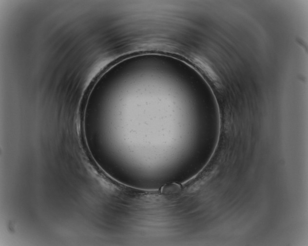 X0000097650888200803071506