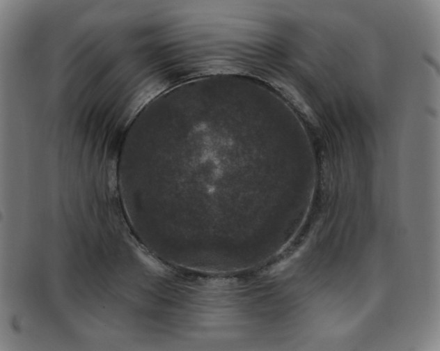 X0000097650889200803071506