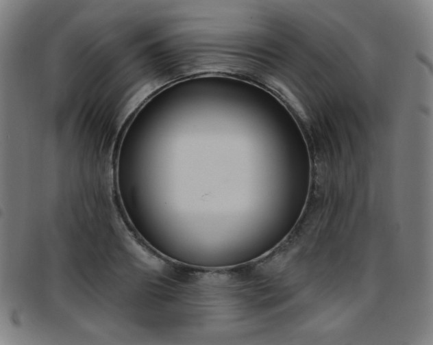 X0000097650890200803071506