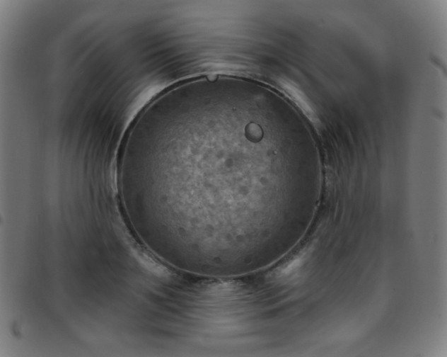 X0000097650891200803071506