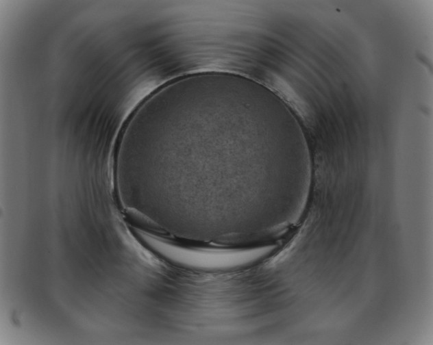 X0000097650892200803071506