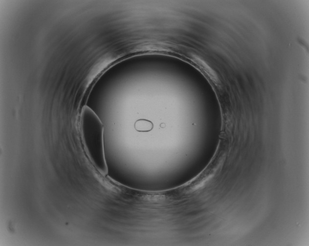 X0000097650893200803071506