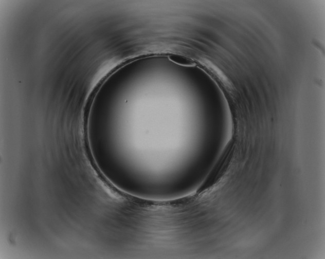 X0000097650894200803071506