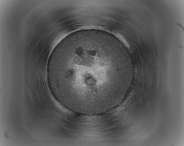 X0000097650895200803071506