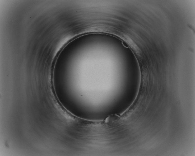 X0000097650896200803071506