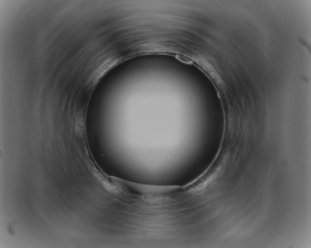 X0000097650897200803071506