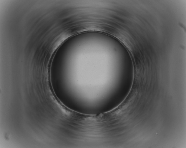 X0000097650898200803071506