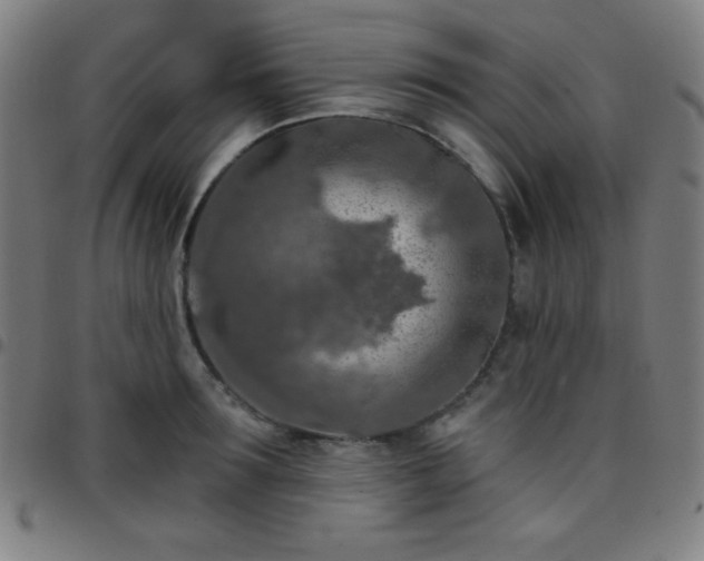 X0000097650899200803071506