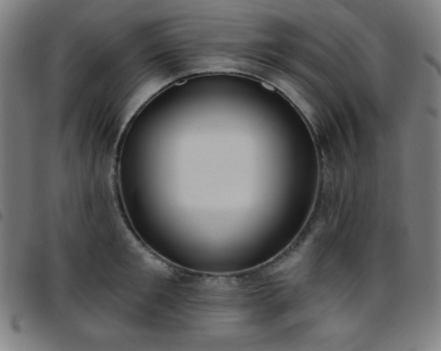 X0000097650901200803071506