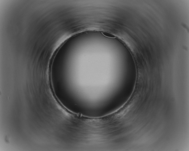 X0000097650902200803071506