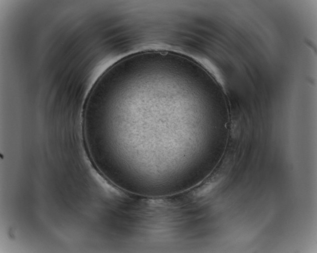 X0000097650903200803071506