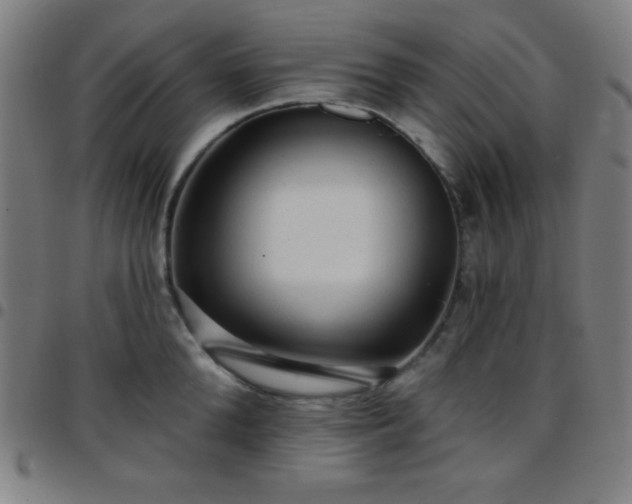 X0000097650904200803071506