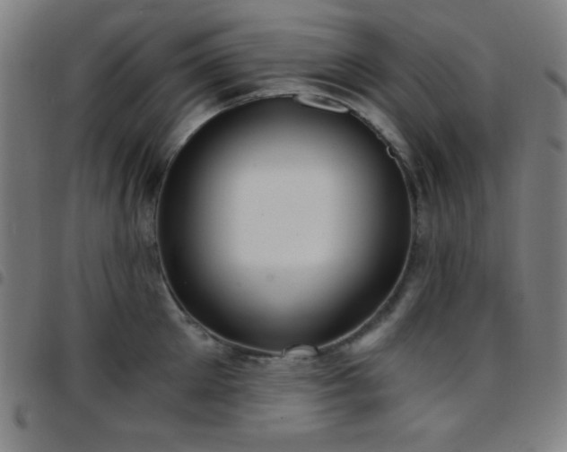 X0000097650905200803071506