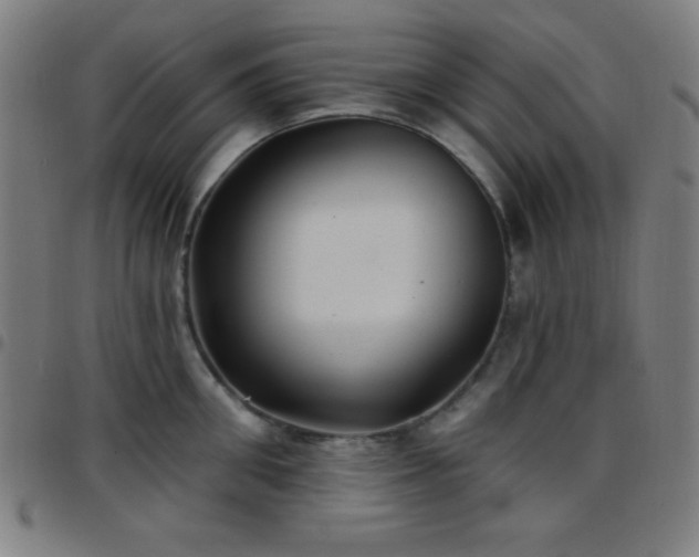 X0000097650906200803071506