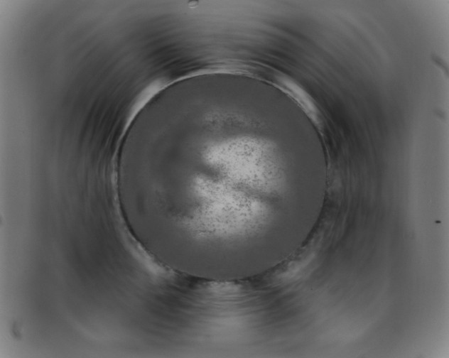 X0000097650907200803071506