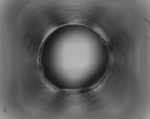 X0000097650908200803071506