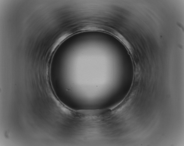 X0000097650909200803071506