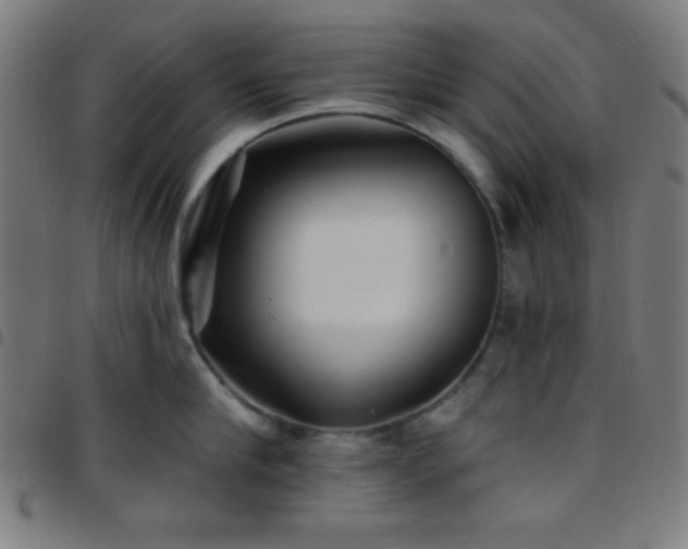 X0000097650910200803071506