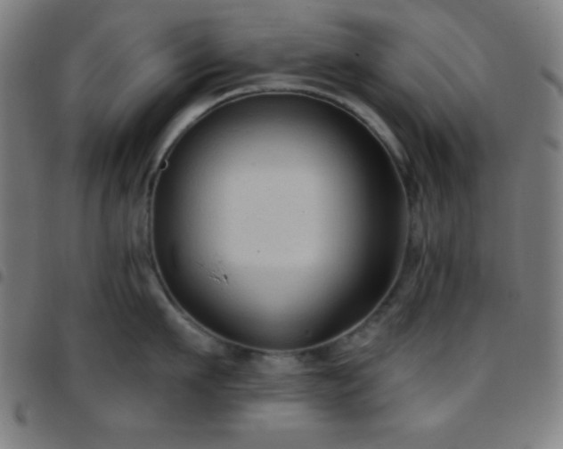 X0000097650911200803071506