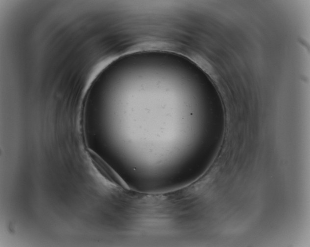 X0000097650912200803071506