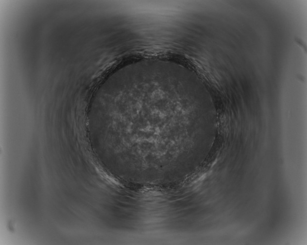 X0000097650913200803071505