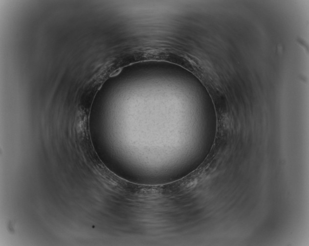 X0000097650914200803071505