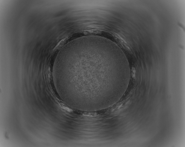 X0000097650915200803071505