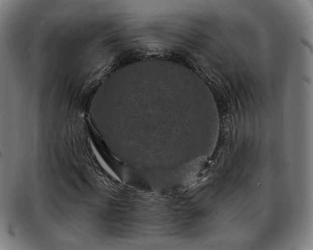 X0000097650916200803071505