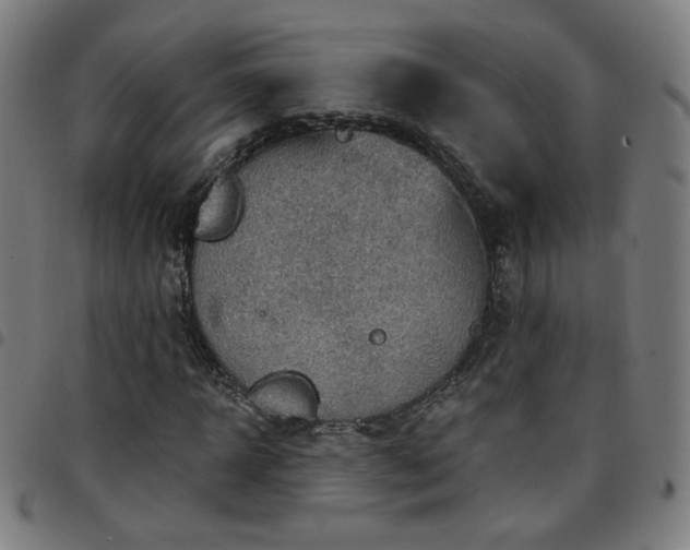 X0000097650918200803071506