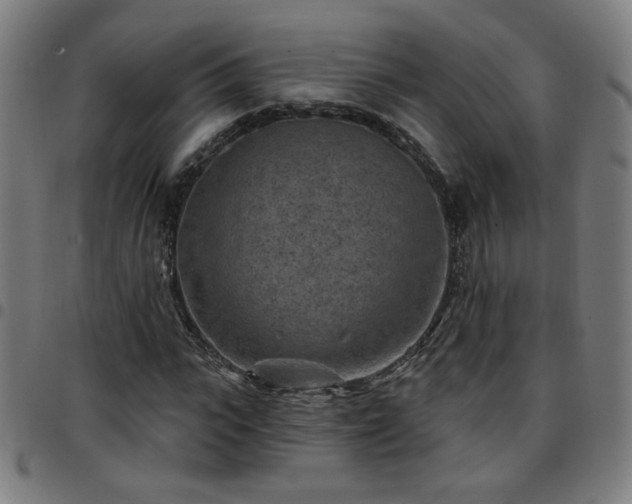 X0000097650919200803071506