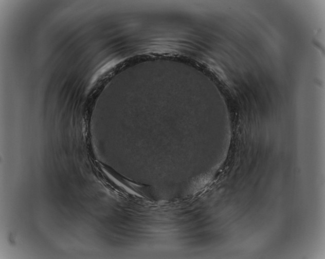 X0000097650920200803071506