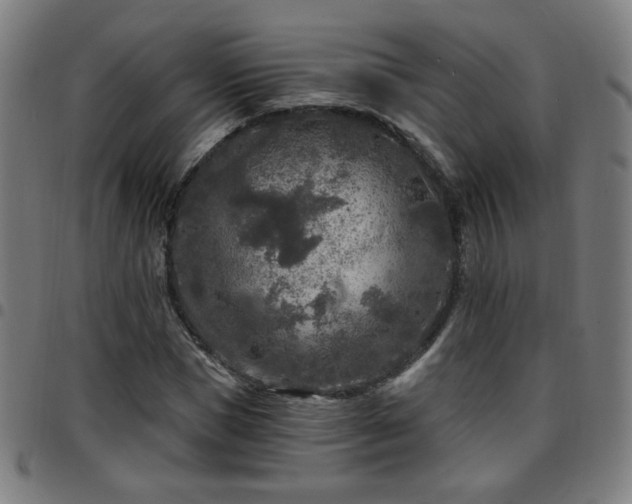 X0000097650921200803071506