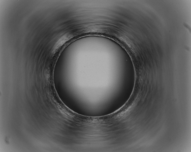 X0000097650922200803071506