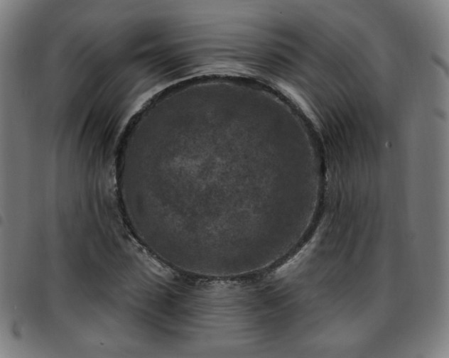 X0000097650923200803071506