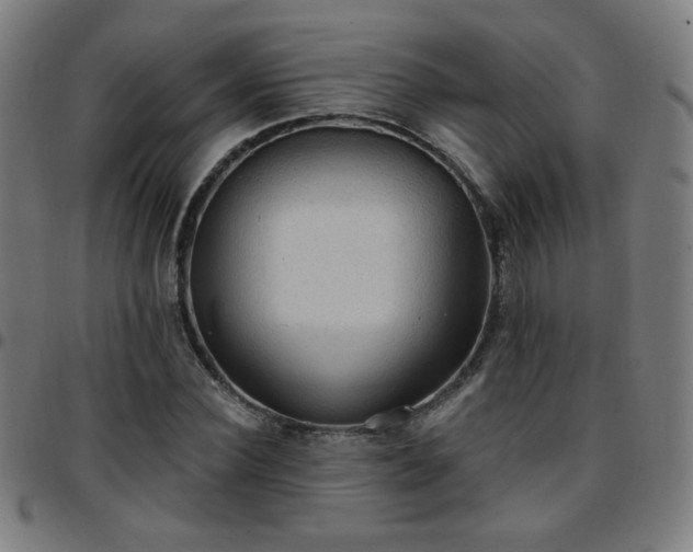 X0000097650924200803071506