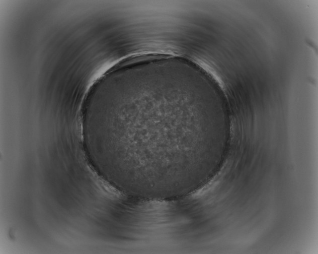 X0000097650925200803071506