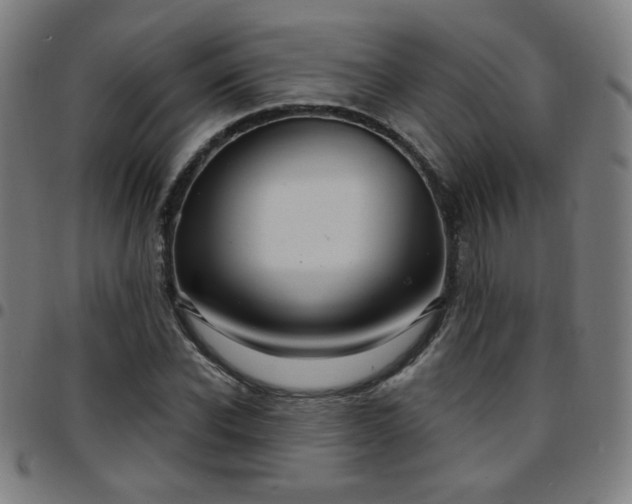 X0000097650926200803071506