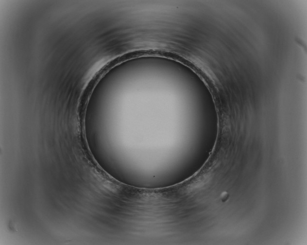 X0000097650927200803071506