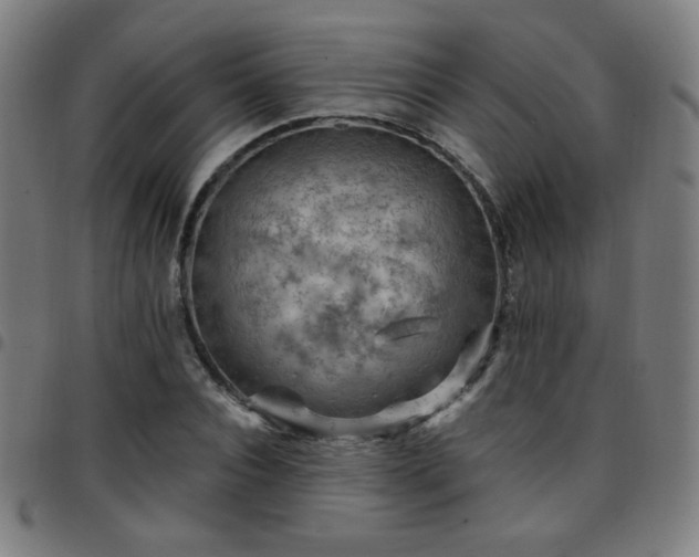 X0000097650928200803071506