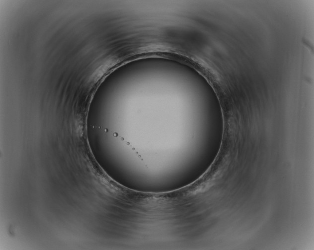 X0000097650929200803071506