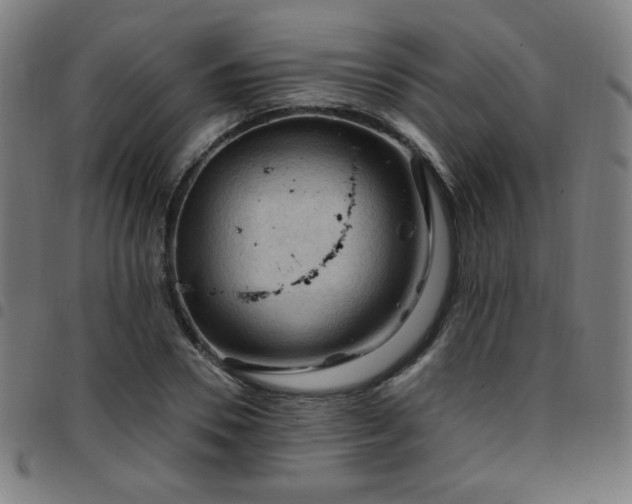 X0000097650930200803071506