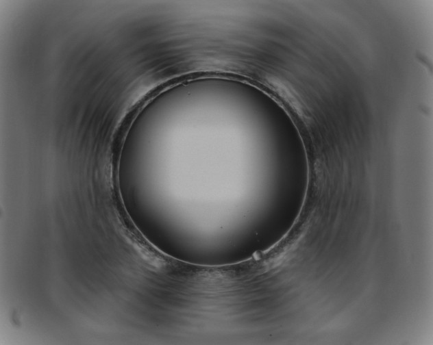 X0000097650931200803071506