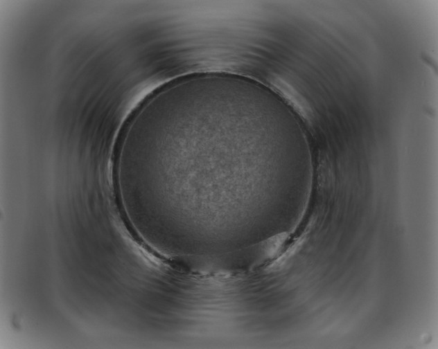 X0000097650932200803071506